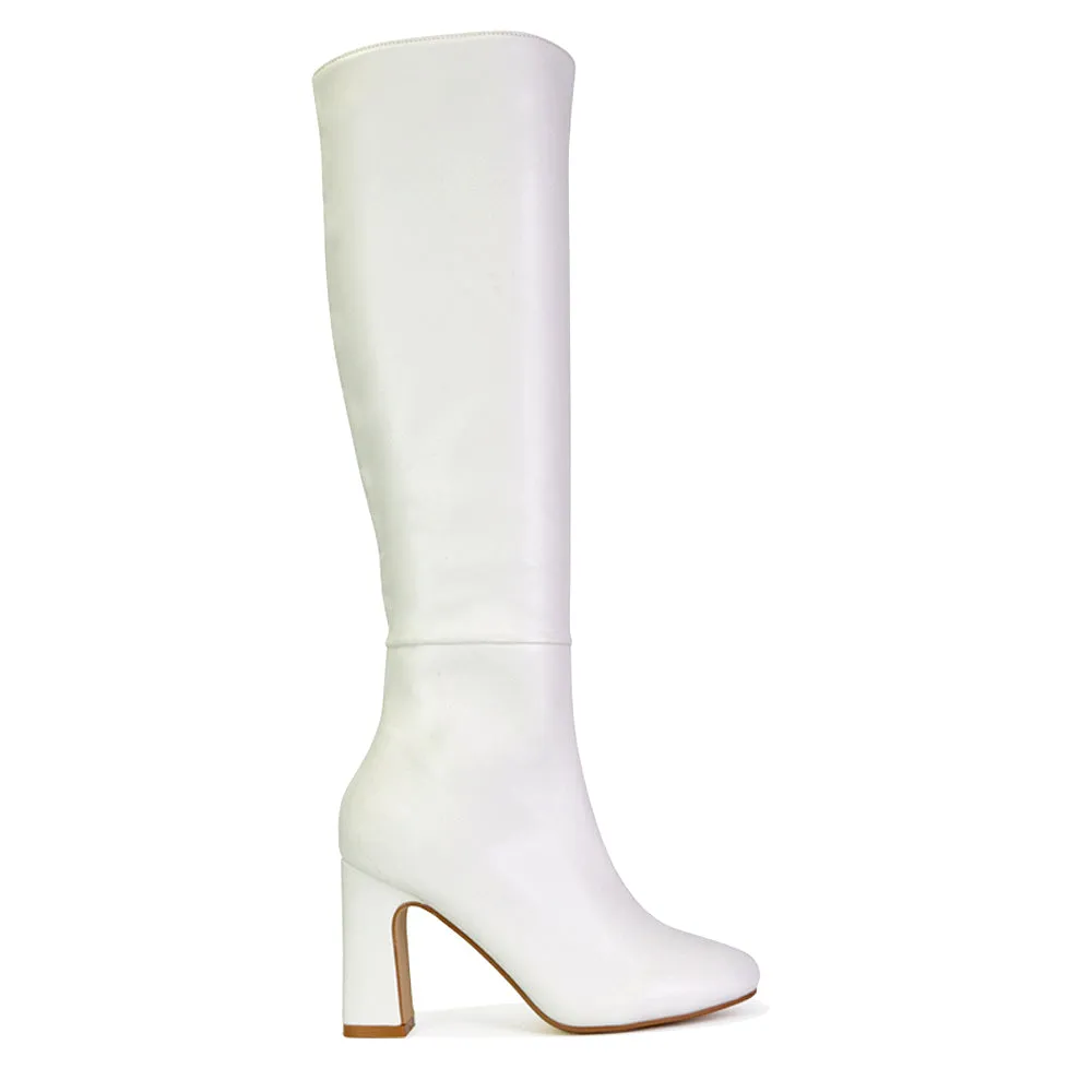 Lillia Winter Zip-up Long Block High Heel Knee High Boots in Black Faux Suede